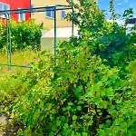 Ride & Rest, Budget, Waschmaschine, Wohnzimmer, Kueche, Radlgarage *