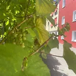 Ride & Rest, Budget, Waschmaschine, Wohnzimmer, Kueche, Radlgarage Apartment Altotting