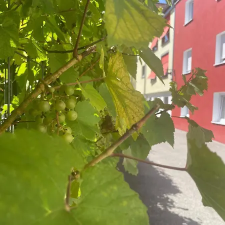 Ride & Rest, Budget, Waschmaschine, Wohnzimmer, Kueche, Radlgarage Apartmán Altötting