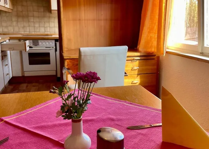 Appartamento Ride & Rest, Budget, Waschmaschine, Wohnzimmer, Kueche, Radlgarage Altötting
